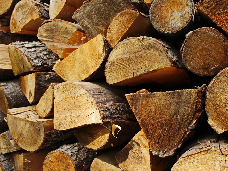 produccion-madera-biomasa